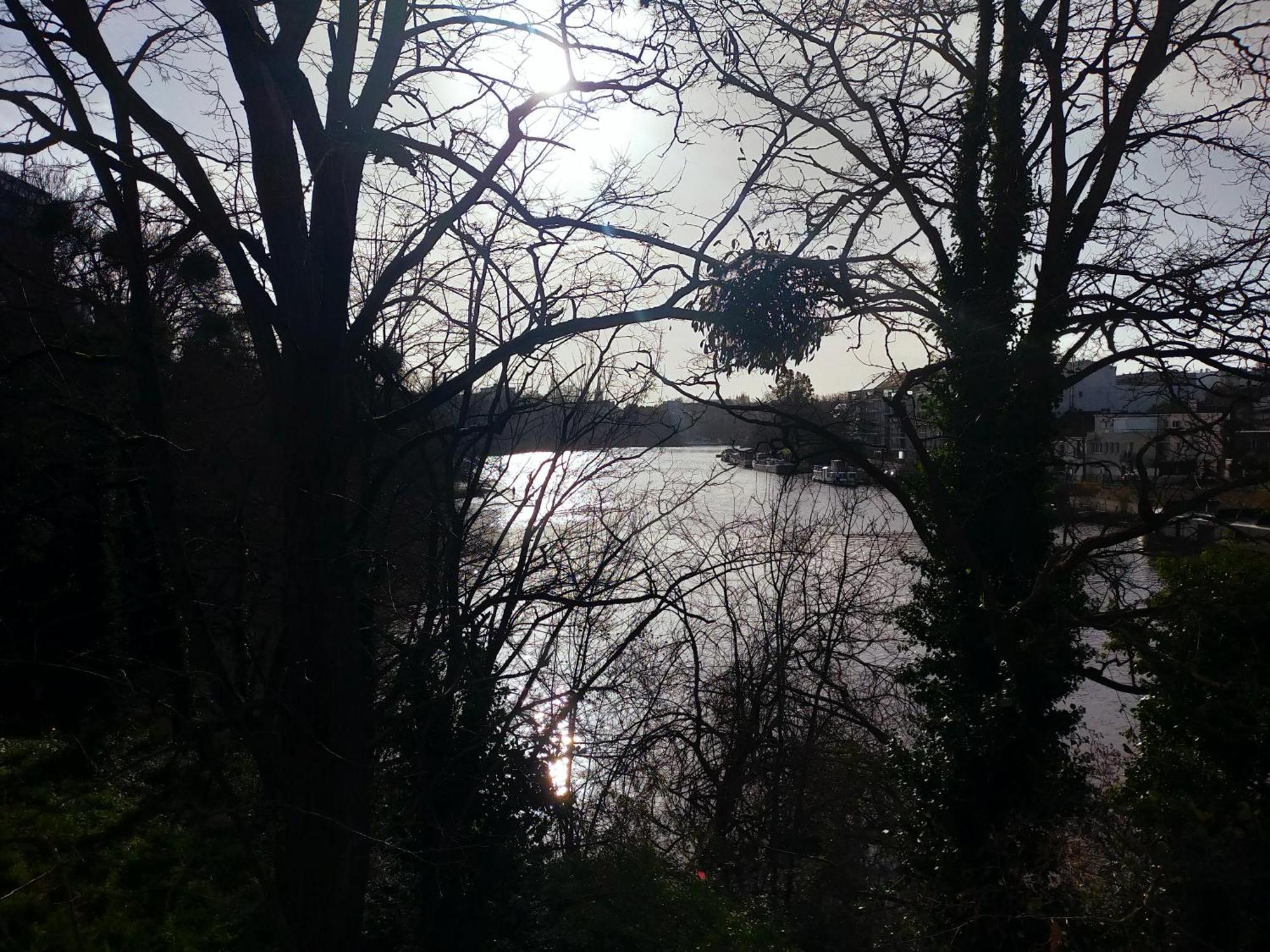 L'Arbre Aux Herons - Panoramique Nantes Wifi Екстериор снимка